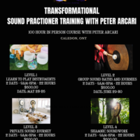 A poster with the words transformational sound practitioner training.